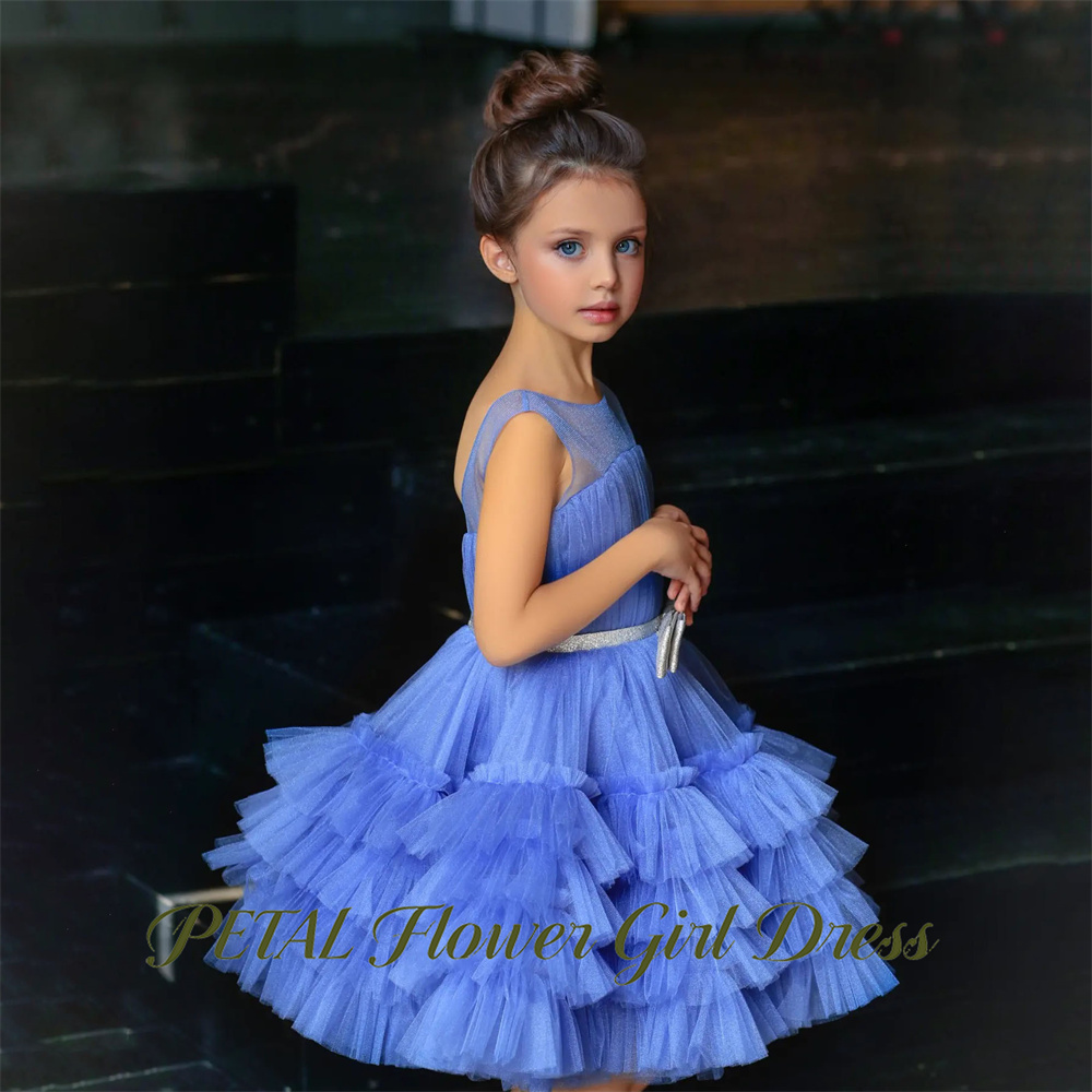 Gaun Pernikahan Ulang Tahun An - Birthday Sash Glitter ulasan dan harga